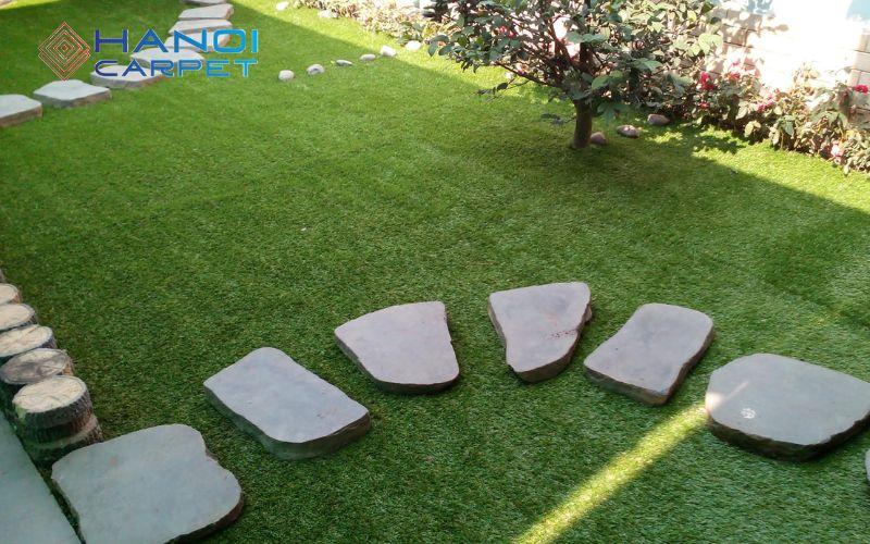 So sánh tính thẩm mỹ của thảm cỏ tự nhiên và thảm cỏ nhân tạo