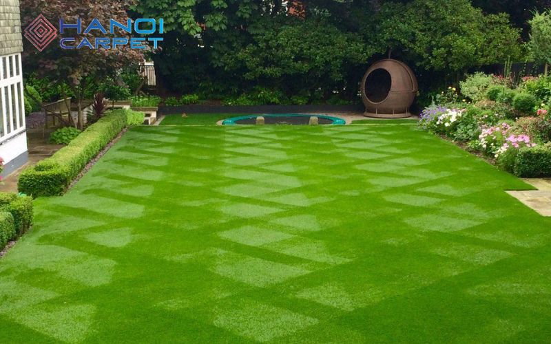 Nên chọn thảm cỏ tự nhiên hay nhân tạo?