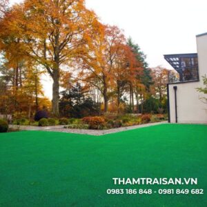 Ứng dụng của thảm cỏ tấm nhân tạo 3cm
