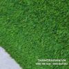 Hình ảnh thảm cỏ tấm nhân tạo 3cm chi tiết