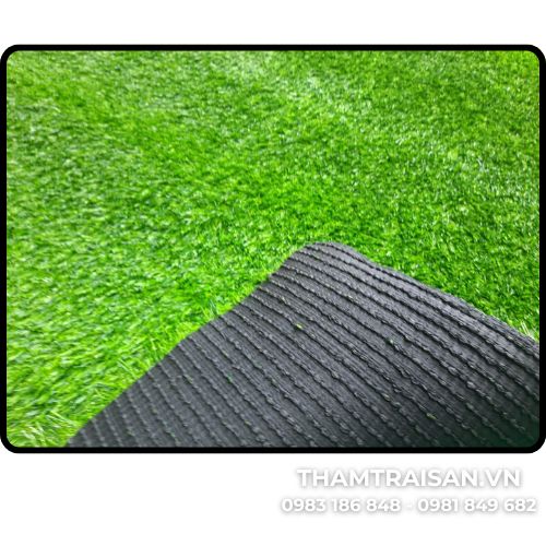 Dưới đế thảm cỏ tấm nhân tạo 3cm