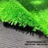Cận cảnh thảm cỏ nhân tạo 1cm (2m x 25m)