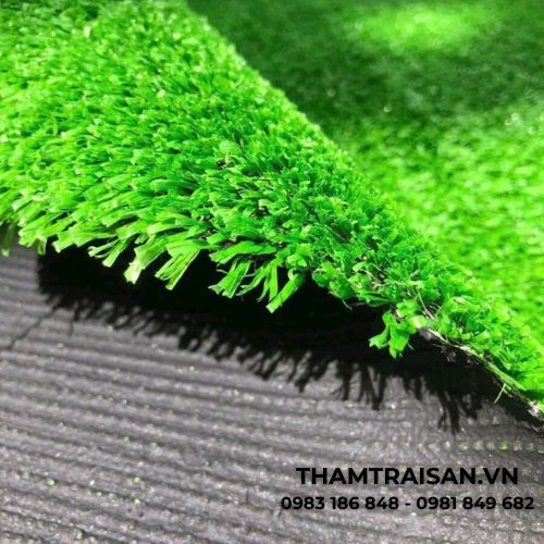 Cận cảnh thảm cỏ nhân tạo 1cm (2m x 25m)