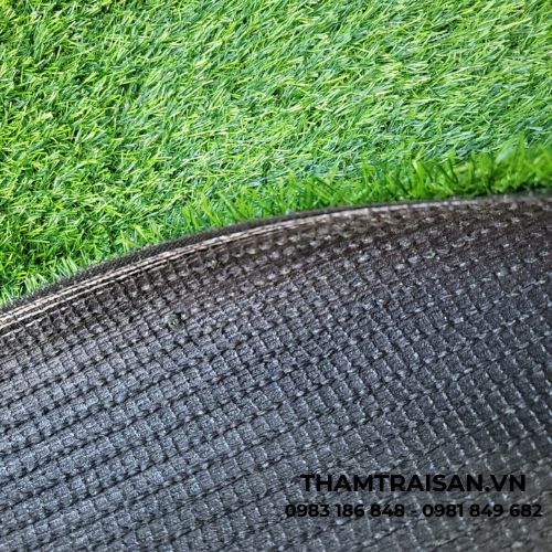Lớp cao su bên dưới của thảm cỏ tấm nhân tạo 2cm (2m x 25m)