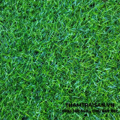 Bề mặt thảm cỏ tấm nhân tạo 2cm