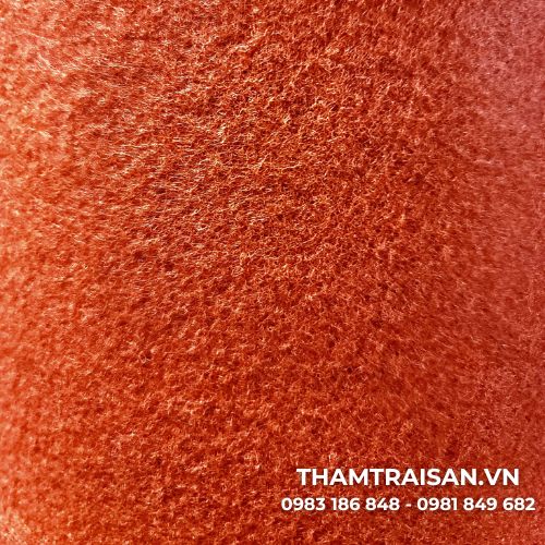 thảm nỉ sự kiện trơn Carpet