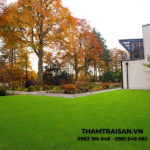 Thảm cỏ tấm nhân tạo 1cm