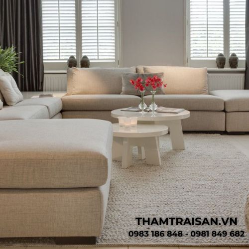 Hình ảnh thảm hiện đại JINGYU