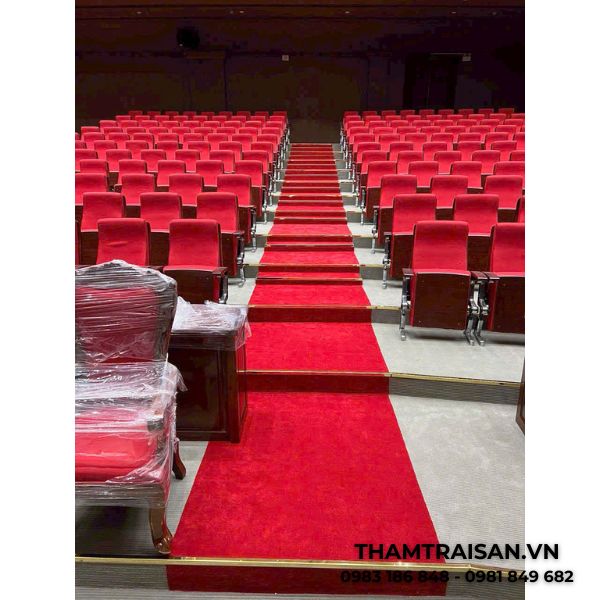 Thảm dẫn lối đi VI006