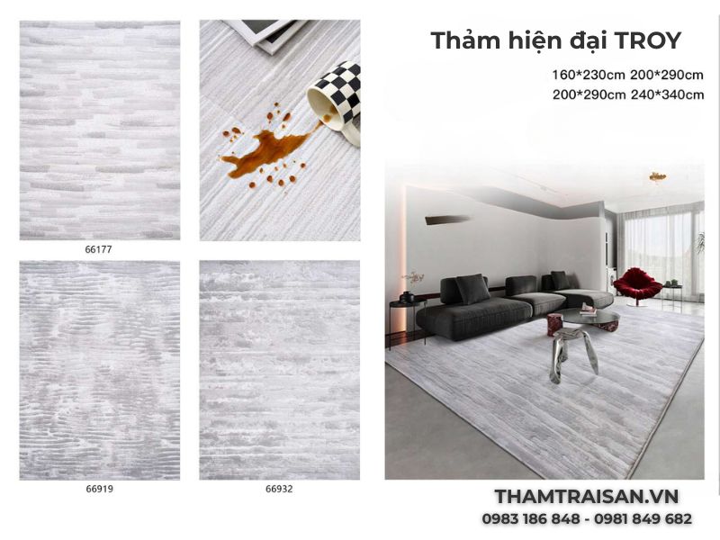 Hình ảnh thảm mỹ thuật hiện đại TROY