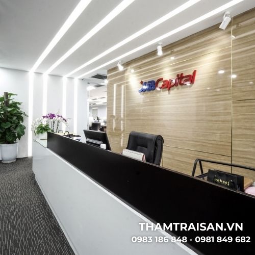 Hình ảnh thực tế thảm Basic VI (7)