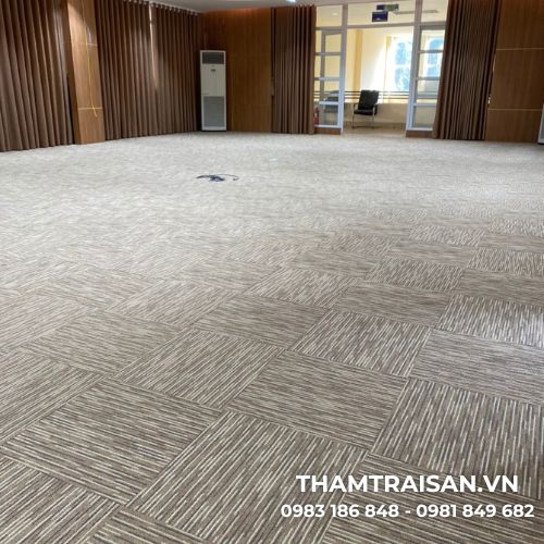 Ưu điểm nổi bật của thảm Basic VI