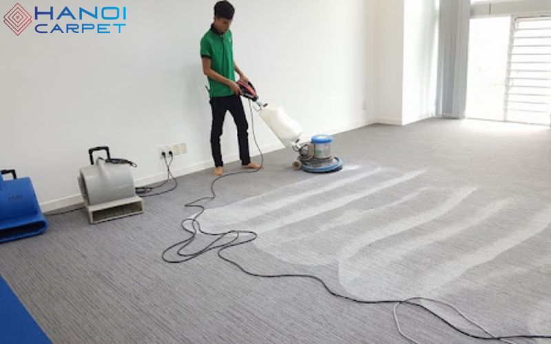 Hướng dẫn vệ sinh thảm lông đúng cách (từ cơ bản đến chuyên sâu)