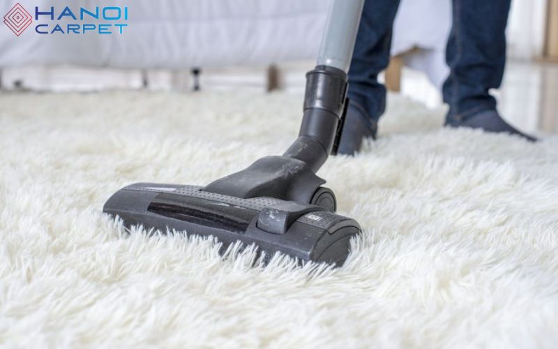 Hướng dẫn vệ sinh thảm lông đúng cách (từ cơ bản đến chuyên sâu)