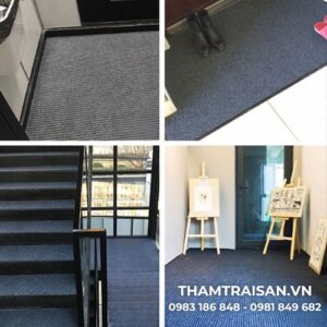 Thảm trải sàn sọc đôi cho cửa và lối đi vào (2)
