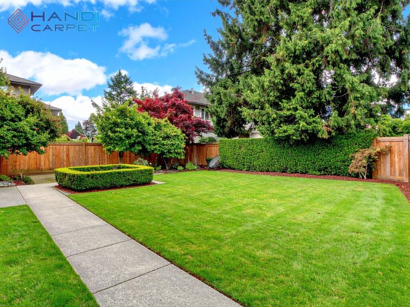 Thảm cỏ sân vườn biệt thụ giúp không gian luôn sạch sẽ