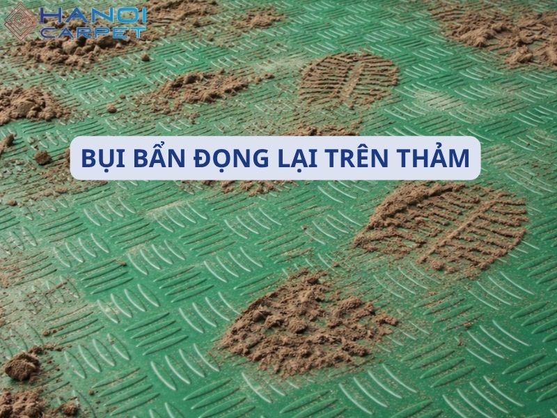 Bụi bẩn tích tụ lâu ngày