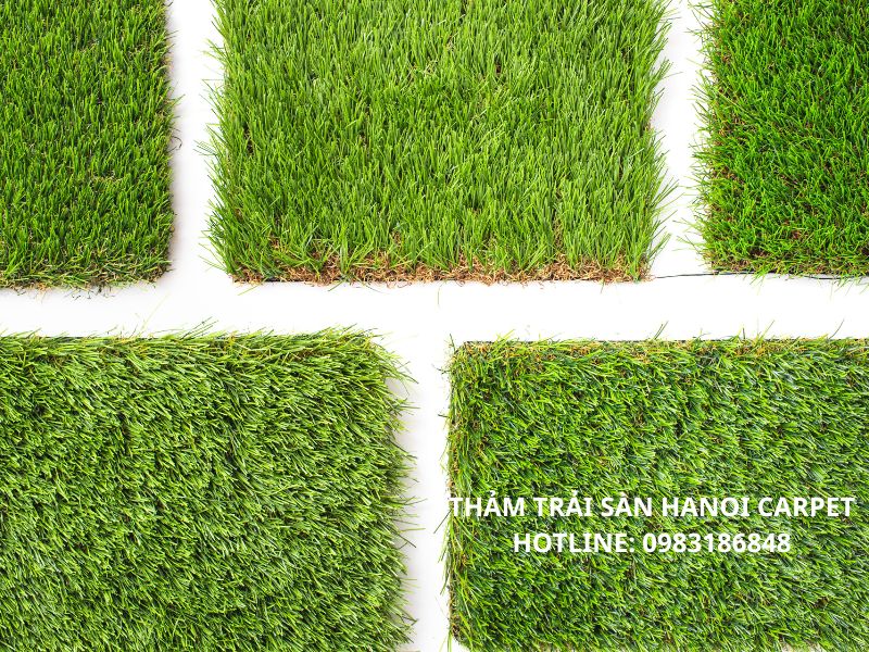 Thảm cỏ nhân tạo 2cm