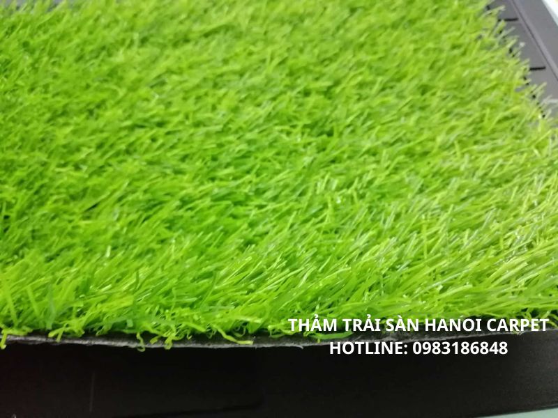 Hanoi Carpet - Đơn vị cung cấp thảm cỏ nhân tạo giá rẻ