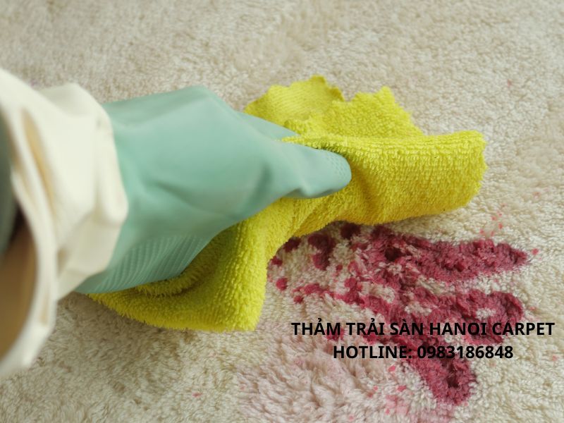 Hút bụi và loại bỏ rác bẩn trên bề mặt trên thảm
