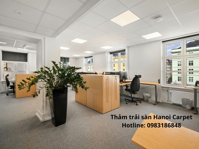 Thảm nỉ trải văn phòng