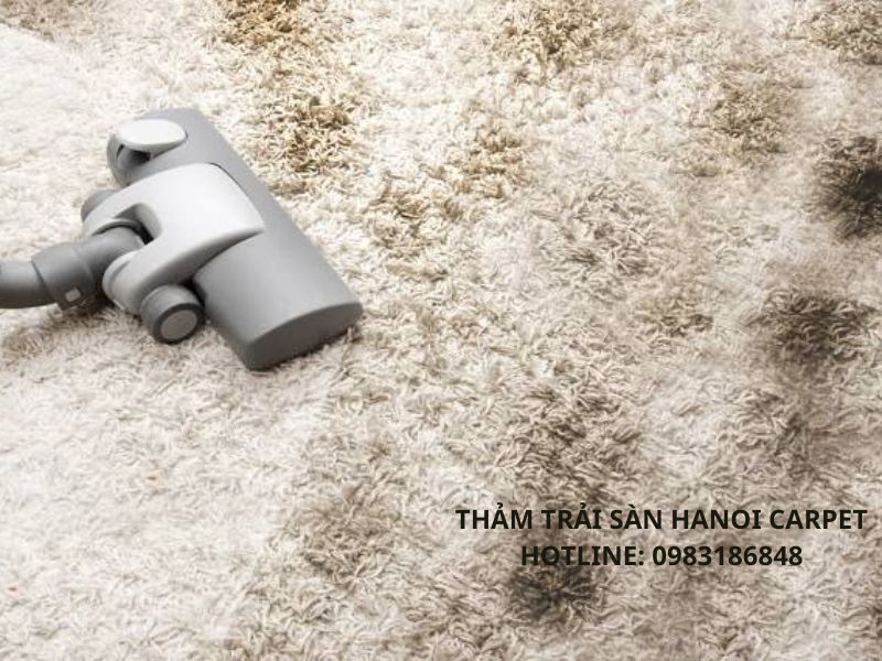 Thảm bị mốc
