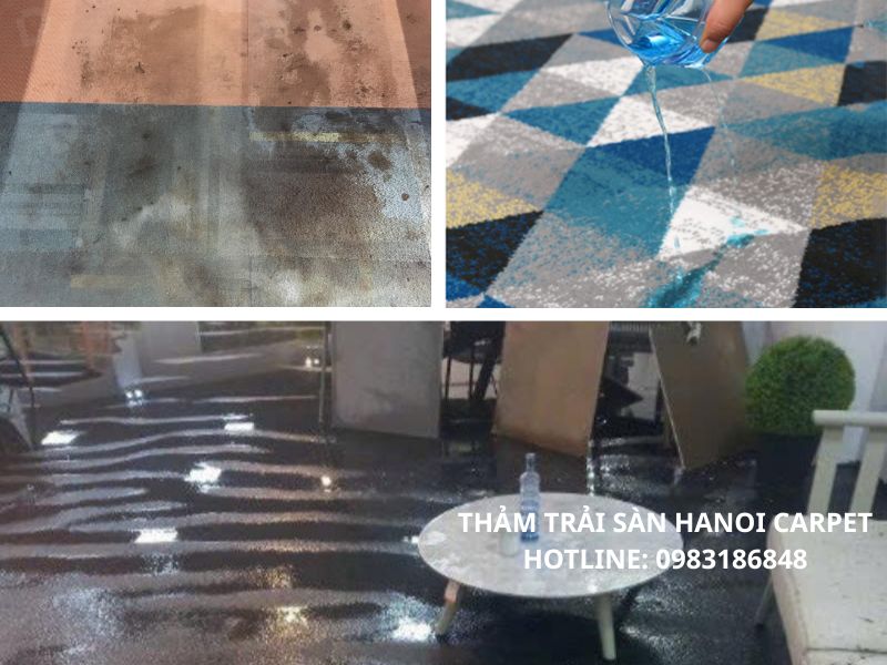 Thảm bị ướt
