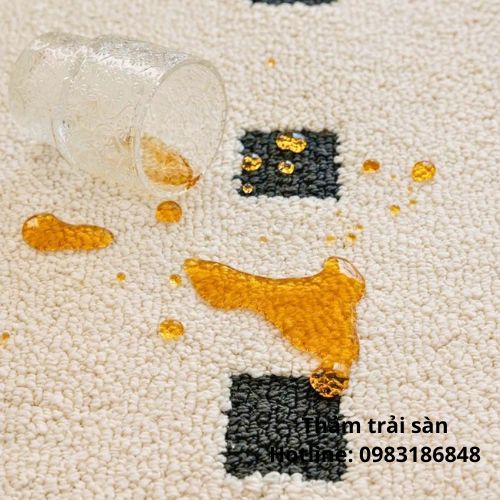 Đặc điểm của thảm sofa trượt nước
