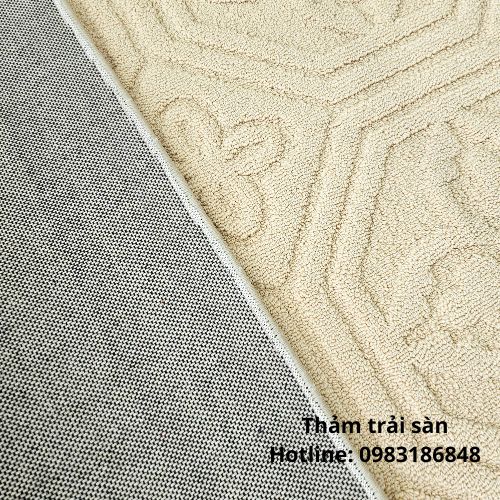 Cận chất thảm sofa trượt nước SFTN04