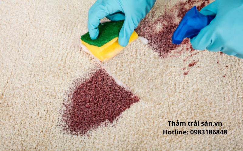 Hướng dẫn vệ sinh giữ thảm trải sàn giá rẻ luôn như mới
