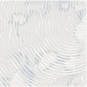 Texture thảm mỹ thuật SN19