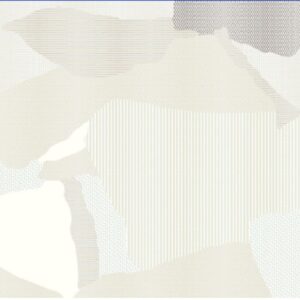 Hình ảnh thảm MS13