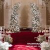 Thảm nỉ sự kiện Carpet đượnc ứng dụng phổ biến trong nhiều loại hình sự kiện