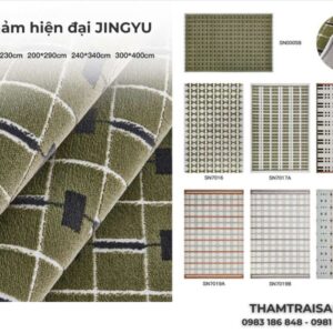 Thảm hiện đại SN