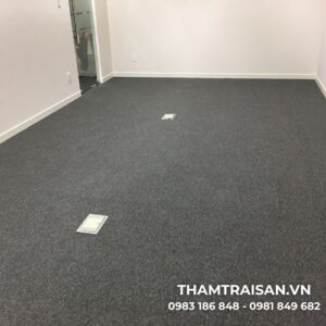 Ưu điểm nổi bật của thảm tấm SUMINOE PX 3000