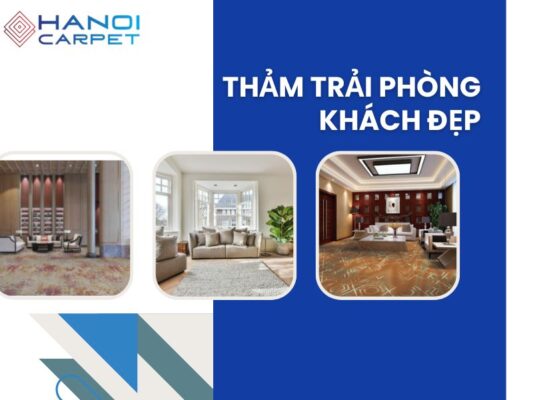 Mẫu thảm cho phòng khách tiếp khách
