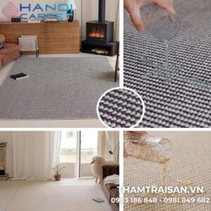 Thảm dệt loop kháng nước TJPXBL2