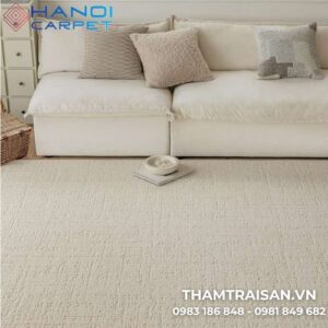 Thảm trượt nước BY1 017AG