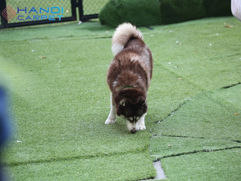 Lắp đặt thảm cỏ nhân tạo cho khu vui chơi