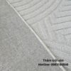 Ứng dụng thảm trượt nước SFTN03